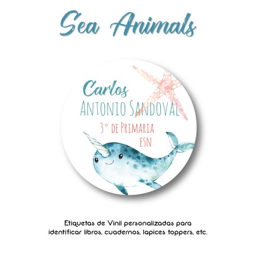 Pack Clothes & School Sea Animals Pack Clothes & School Sea Animals