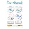 Pack Clothes & School Sea Animals Pack Clothes & School Sea Animals