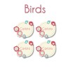 Regalo Birds