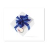 Regalo Birds