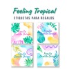Regalo Feeling Tropical