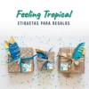 Regalo Feeling Tropical
