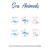 Pack Clothes & Shoes Sea Animals Pack Clothes & Shoes Sea Animals